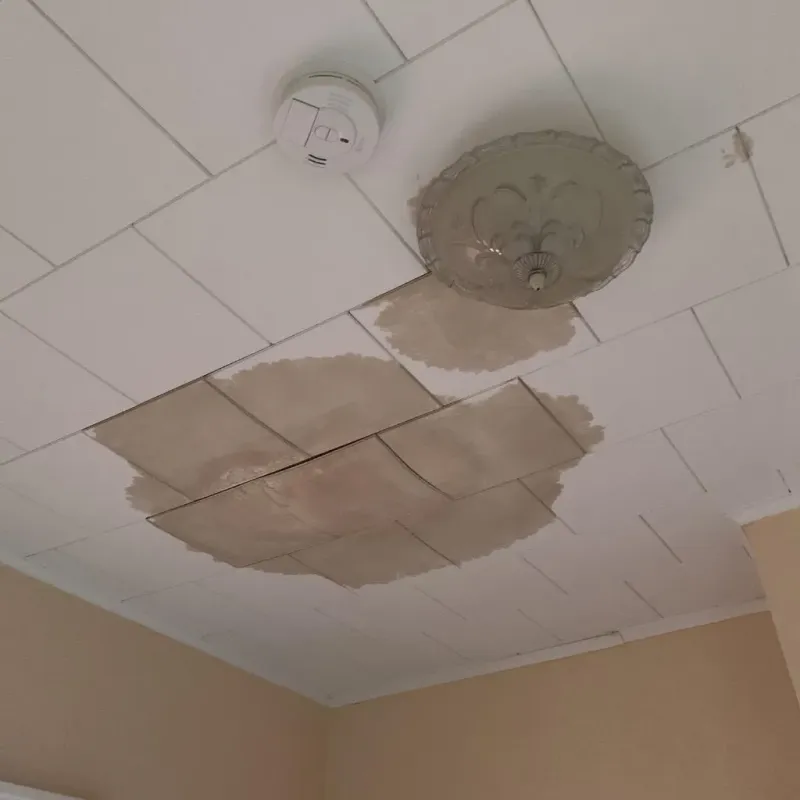 Ceiling Water Damage Repair in Shreve, OH