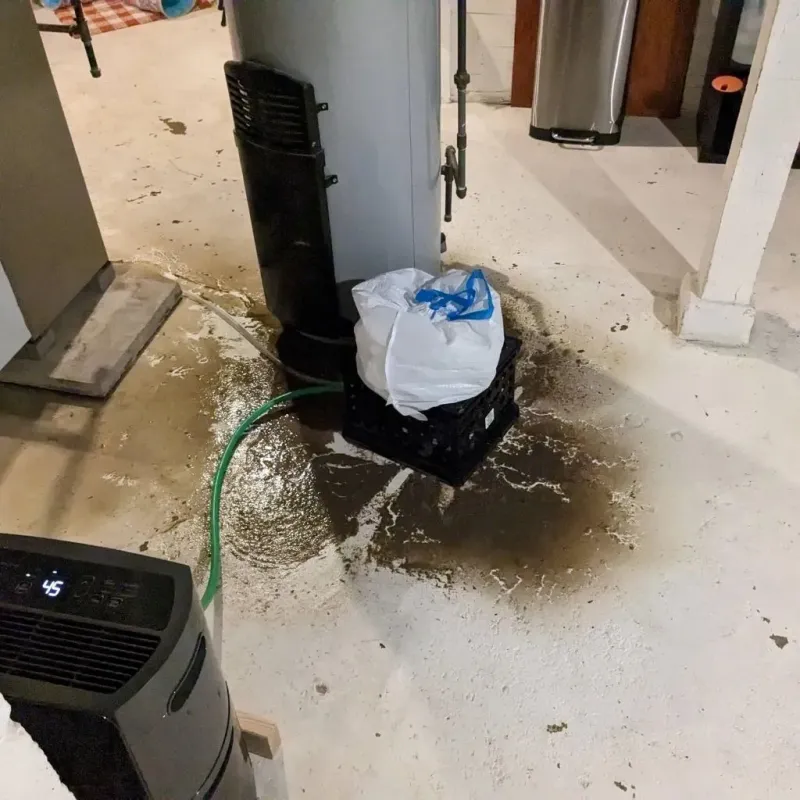 Sewage Backup Cleanup Service in Shreve, OH